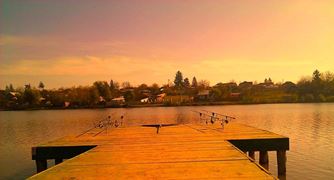 Moara Vlasiei 2 29 - 29 oct.